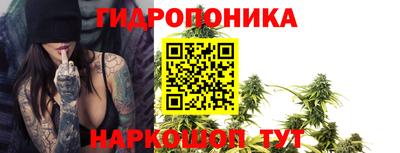 молекула духа Ликино-Дулёво