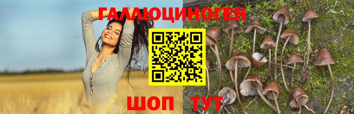 Псилоцибиновые грибы GOLDEN TEACHER  Галлюциногенные грибы мухоморы  закладки  Вход с VPN  Стрежевой 