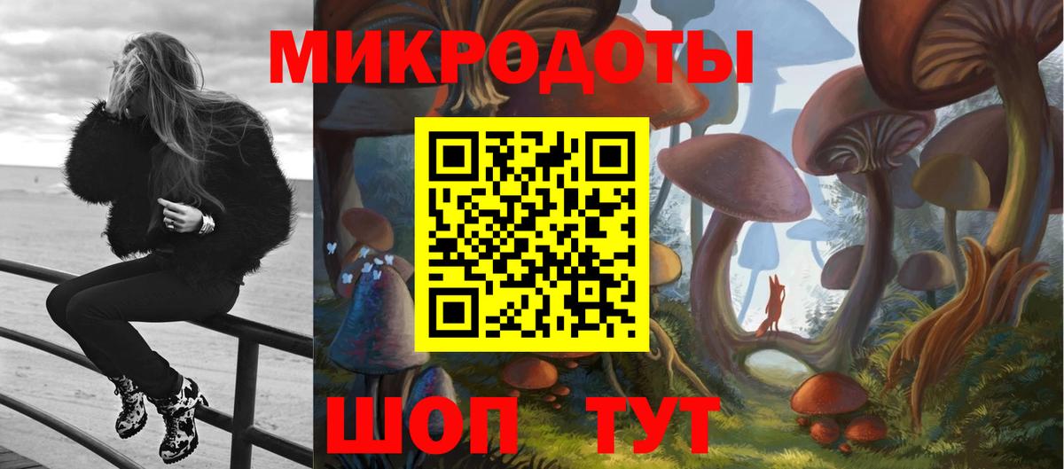 Псилоцибиновые грибы Cubensis Стрежевой